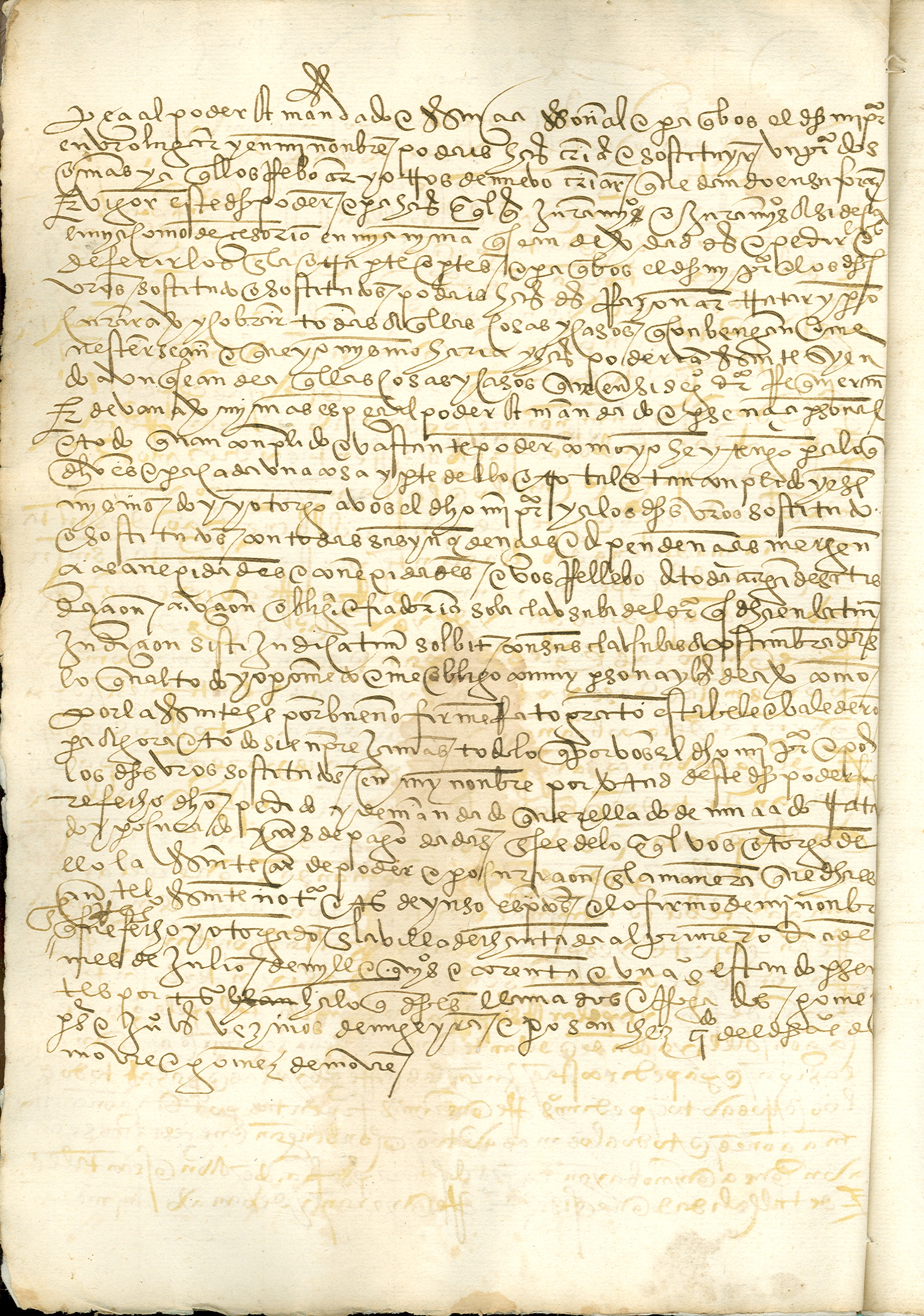 fol. 1 v. 